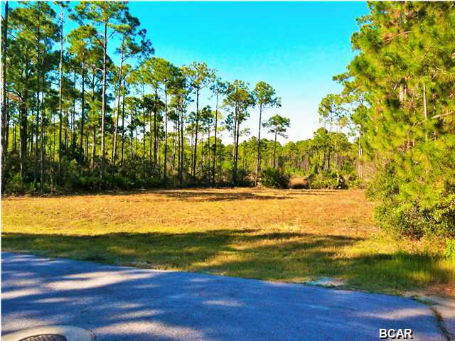 North Harbour - Land