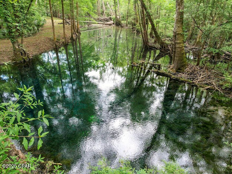 Parcel ID and Legal Description are coming soon. Property is presently being surveyed and divided to make a 90.9 acre parcel. One approximately mile of creek frontage!
This breathtaking property features two crystal clear natural springs flowing directly into Holmes Creek, offering the future owner exclusive access. Whether your'e seeking a serene conservation retreat or a prime opportunity for a water bottling venture, this property holds endless potential. Included is 50 plus acres of high and dry land ideal for a plant site or facility site. Conveniently located just off of Highway 79, you're only minutes from Panama City Beach and Interstate 10, providing excellent access for a business. Property could potentially be zoned commercial. 
It's truly one of a kind with limitless potential.