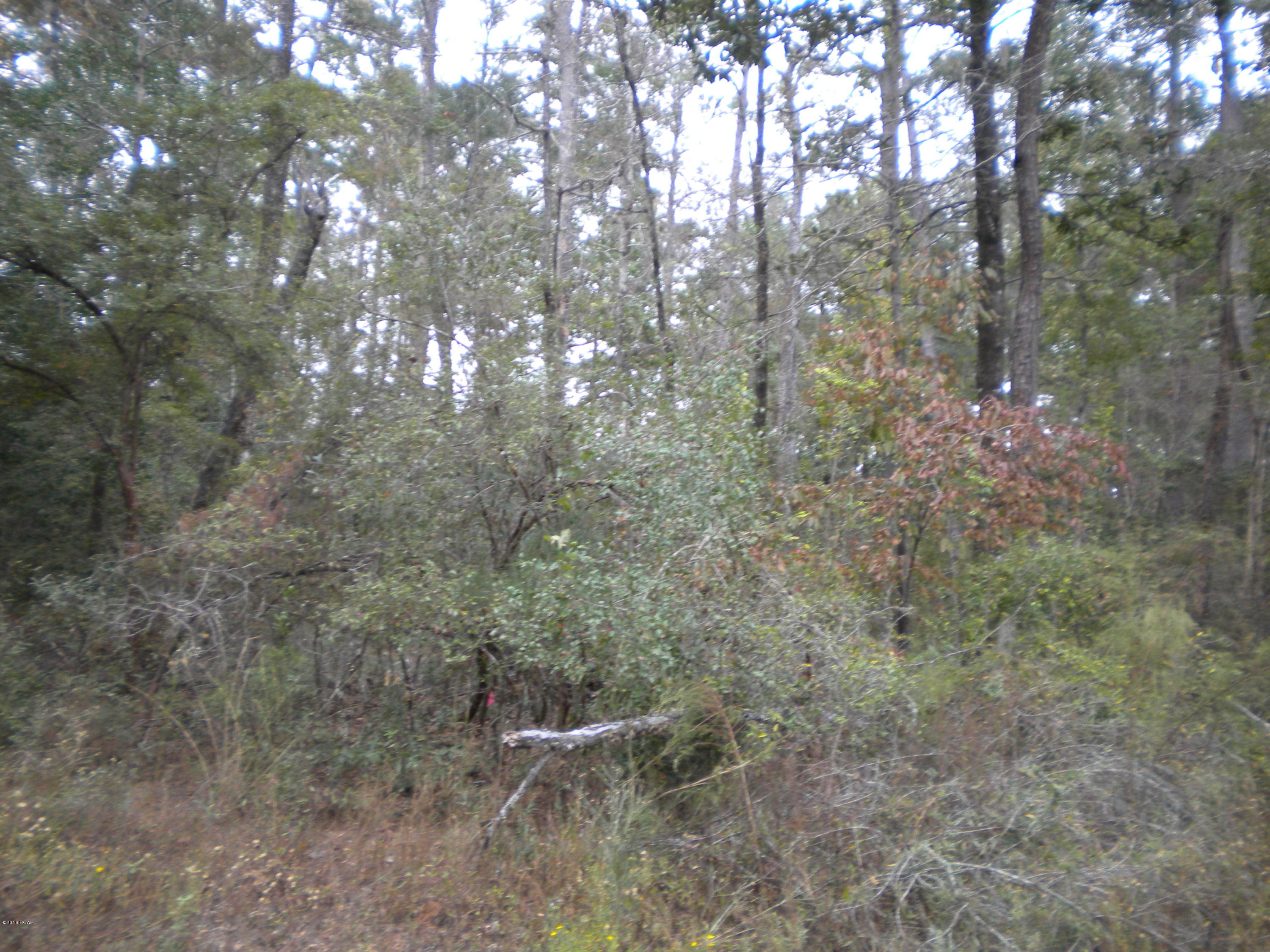 Paradise Lakes - Land