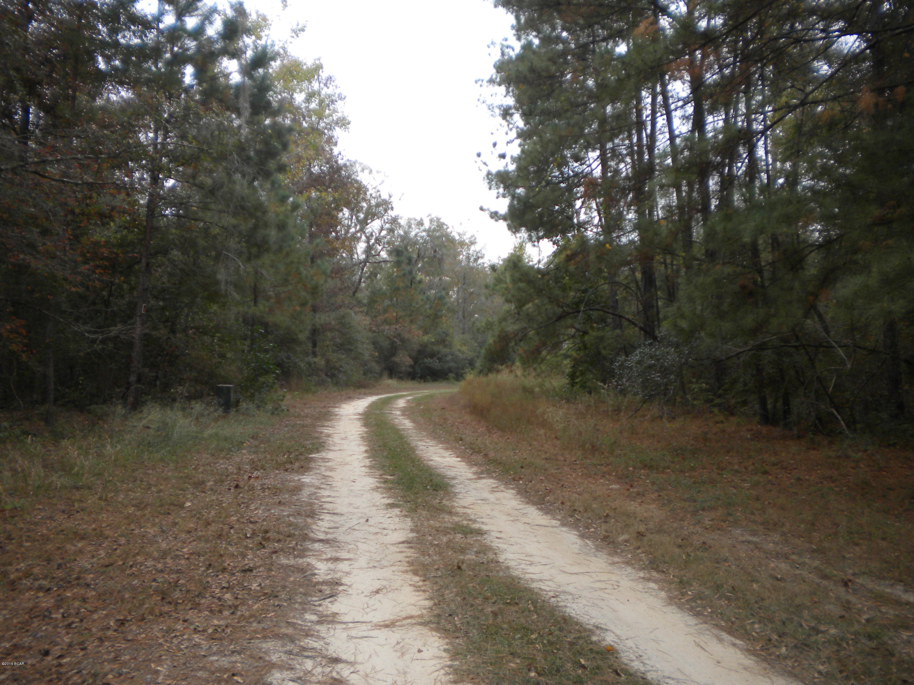 Paradise Lakes - Land