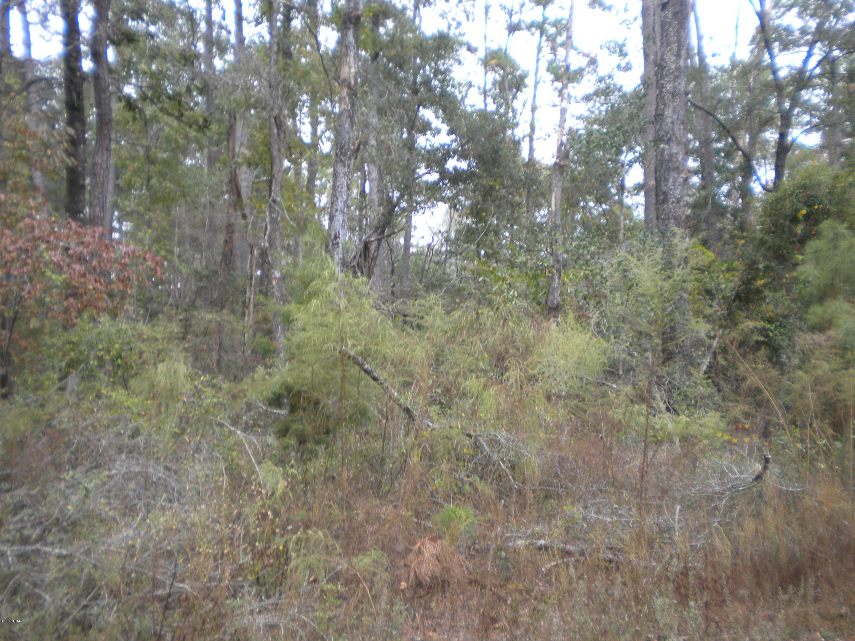 Paradise Lakes - Land