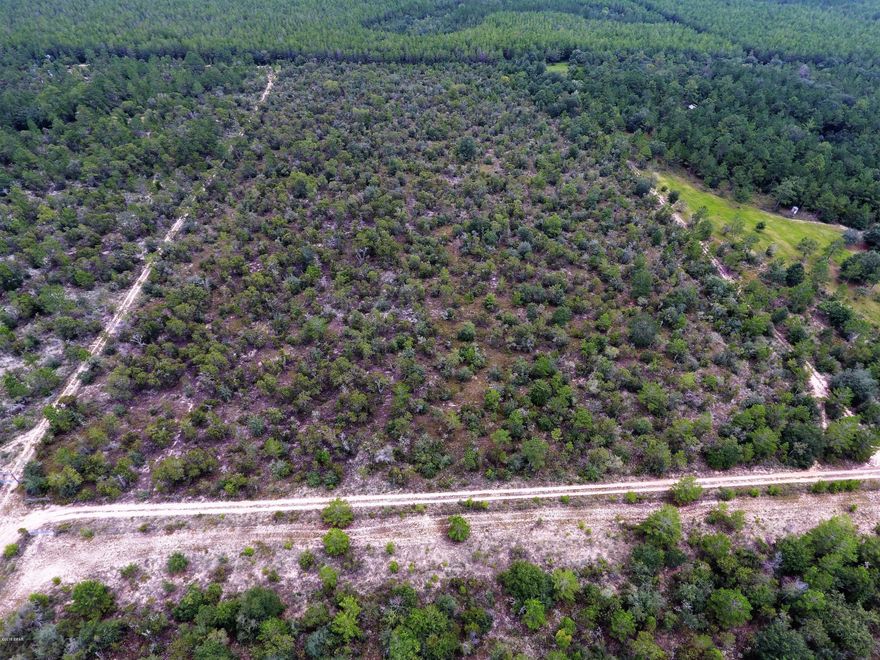 This beautiful 20 acres of land is located just north of Sunny Hills off of Hwy 77. Ideal for camping, hunting or building a second home. Get away from the lights and noise of the city and see the stars come out at night!