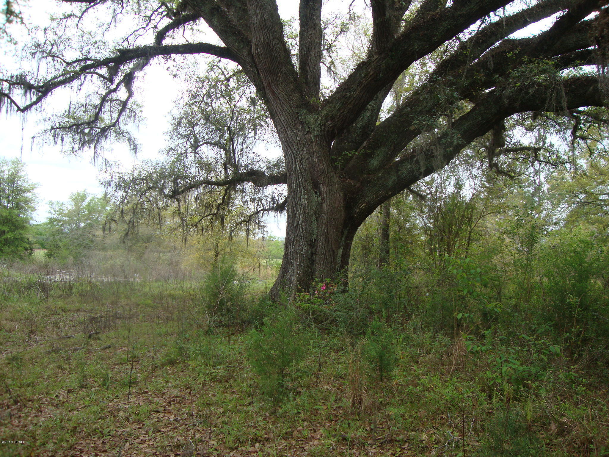 [No Recorded Subdiv] - Land