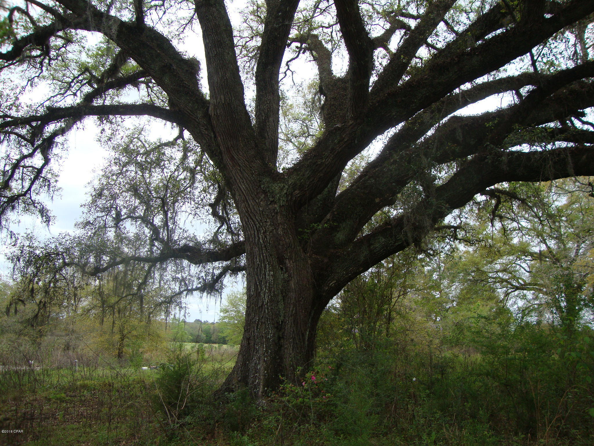 [No Recorded Subdiv] - Land