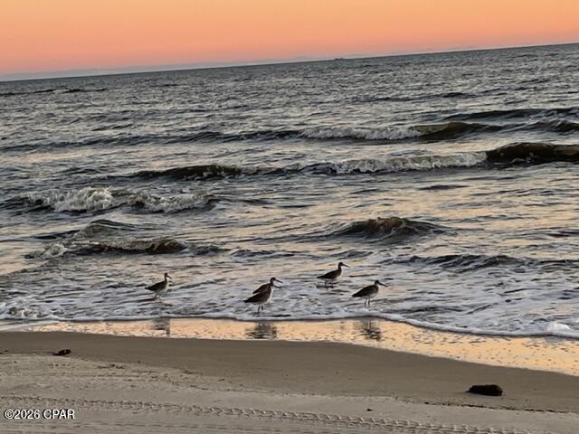 Indian Pass Beach - Land