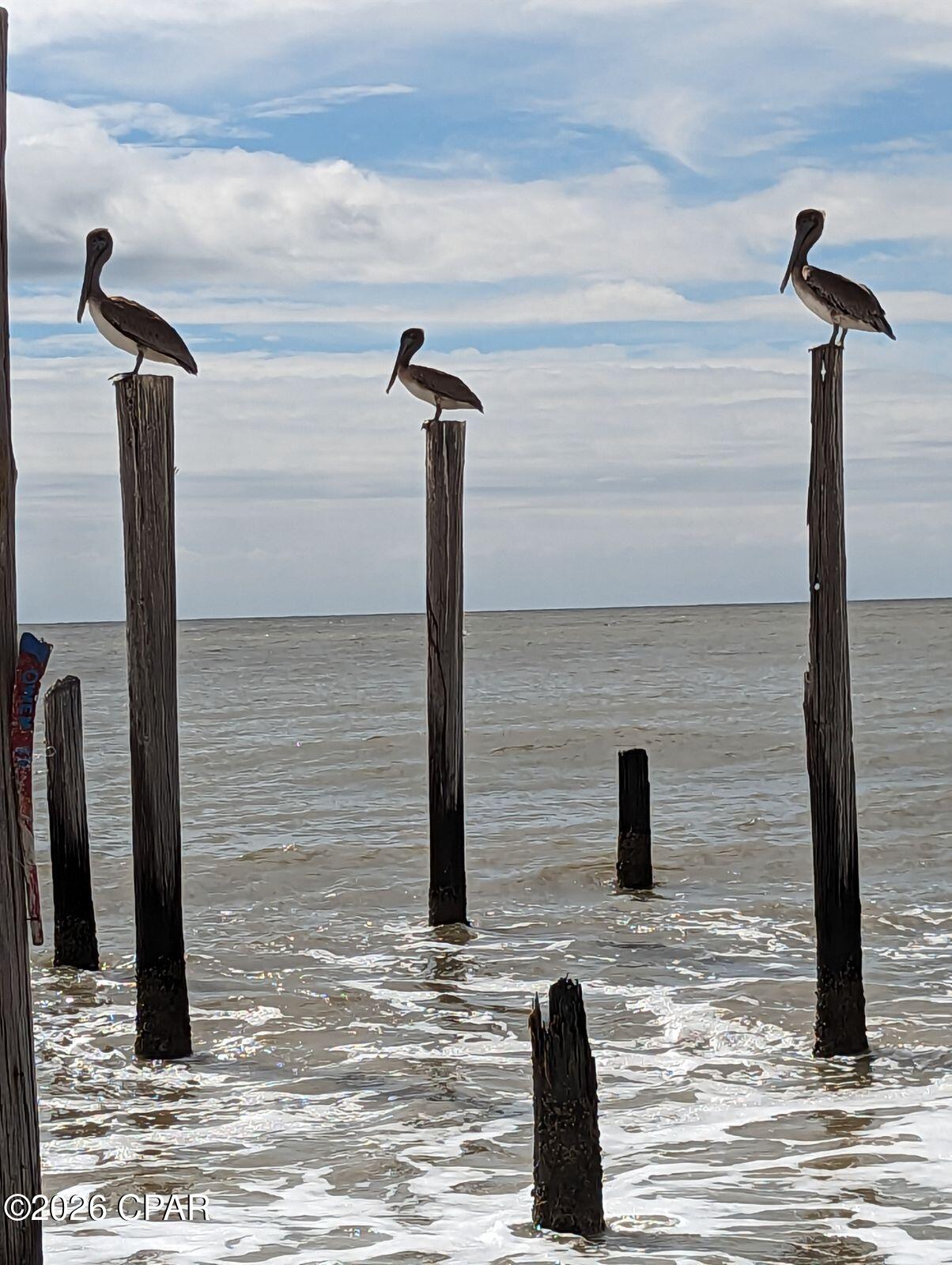 Indian Pass Beach - Land