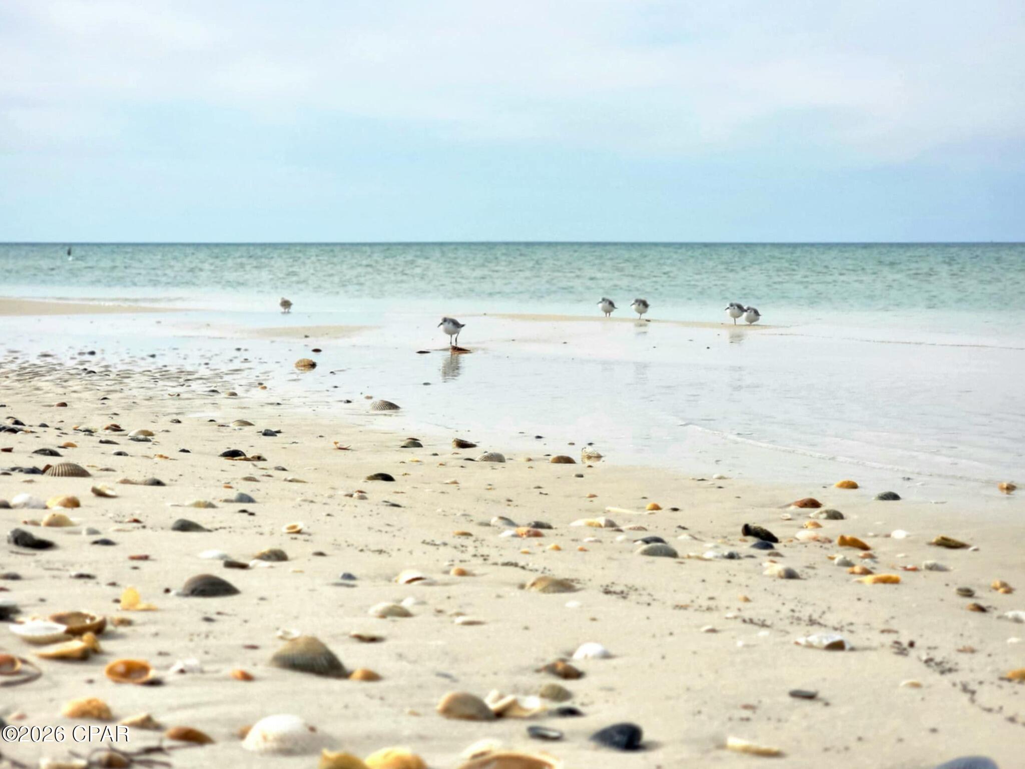 Indian Pass Beach - Land