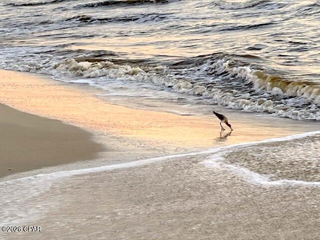 Indian Pass Beach - Land