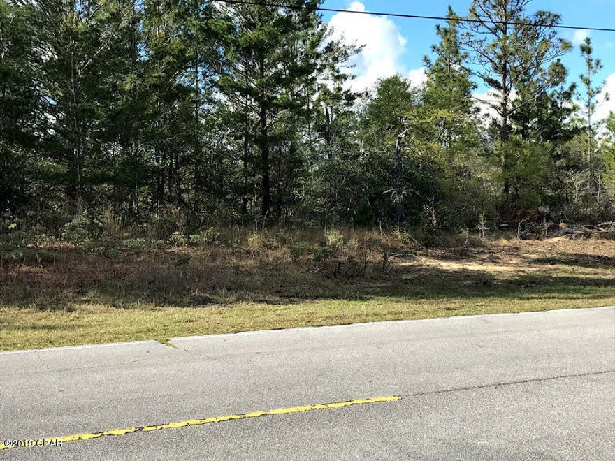 Great lot, rural setting in this established neighborhood of Sunny Hills in southern Washington County featuring rolling hills, beautiful natural landscaping with 26 lakes and ponds for your fishing and boating enjoyment. This lot offers the homeowner easy access to many activities close to home and then lets not forget the Gulf of Mexico is within a 30 minute drive for your beach time enjoyment!!ADJACENT LOT AVAILABLE, Lot dimensions are approximate.