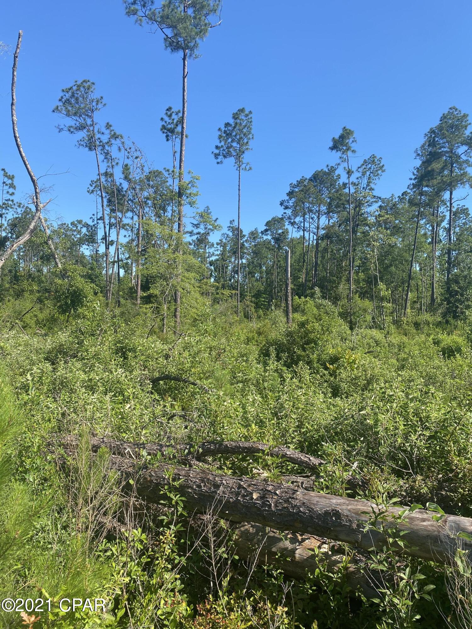 No Named Subdivision - Land