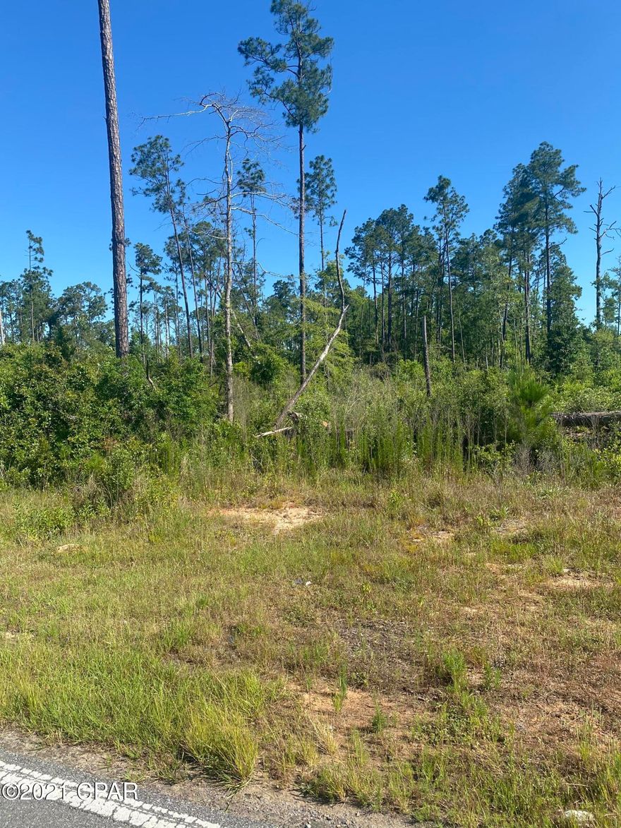 Great lot located on the outskirts of Chipley, FL. Owner states that there is a hand well on the property with bricks laid in an old circular pattern and it is covered with a diamond plated lid but condition is not warranted. This would make an excellent home site, camping site, or investment property. Quiet country living at its best located within a short drive to the world's most beautiful beaches of Panama City. It is only minutes away from Chipley, FL which has plenty of great restaurants and peaceful small town living.