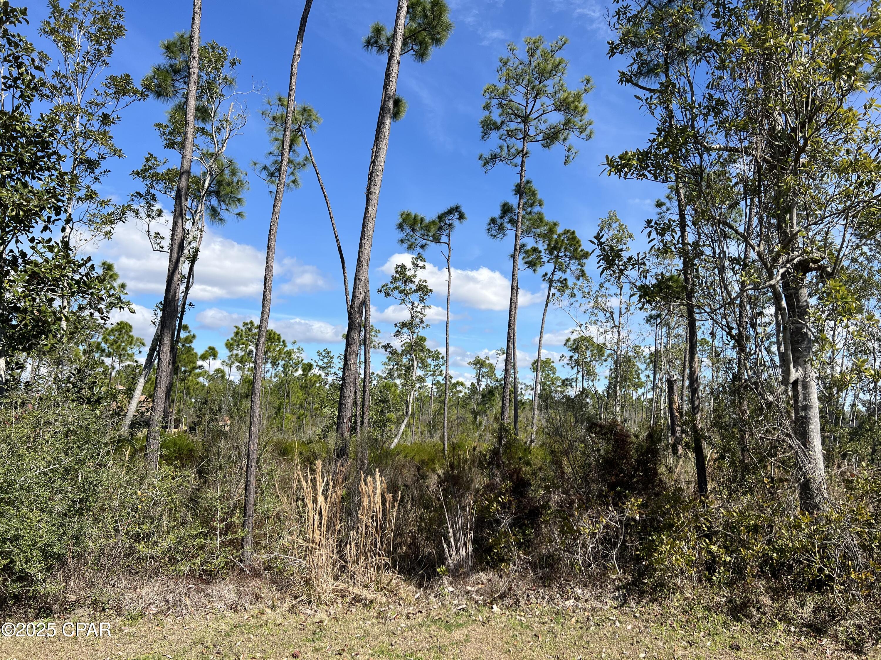 Laird Bayou - Land