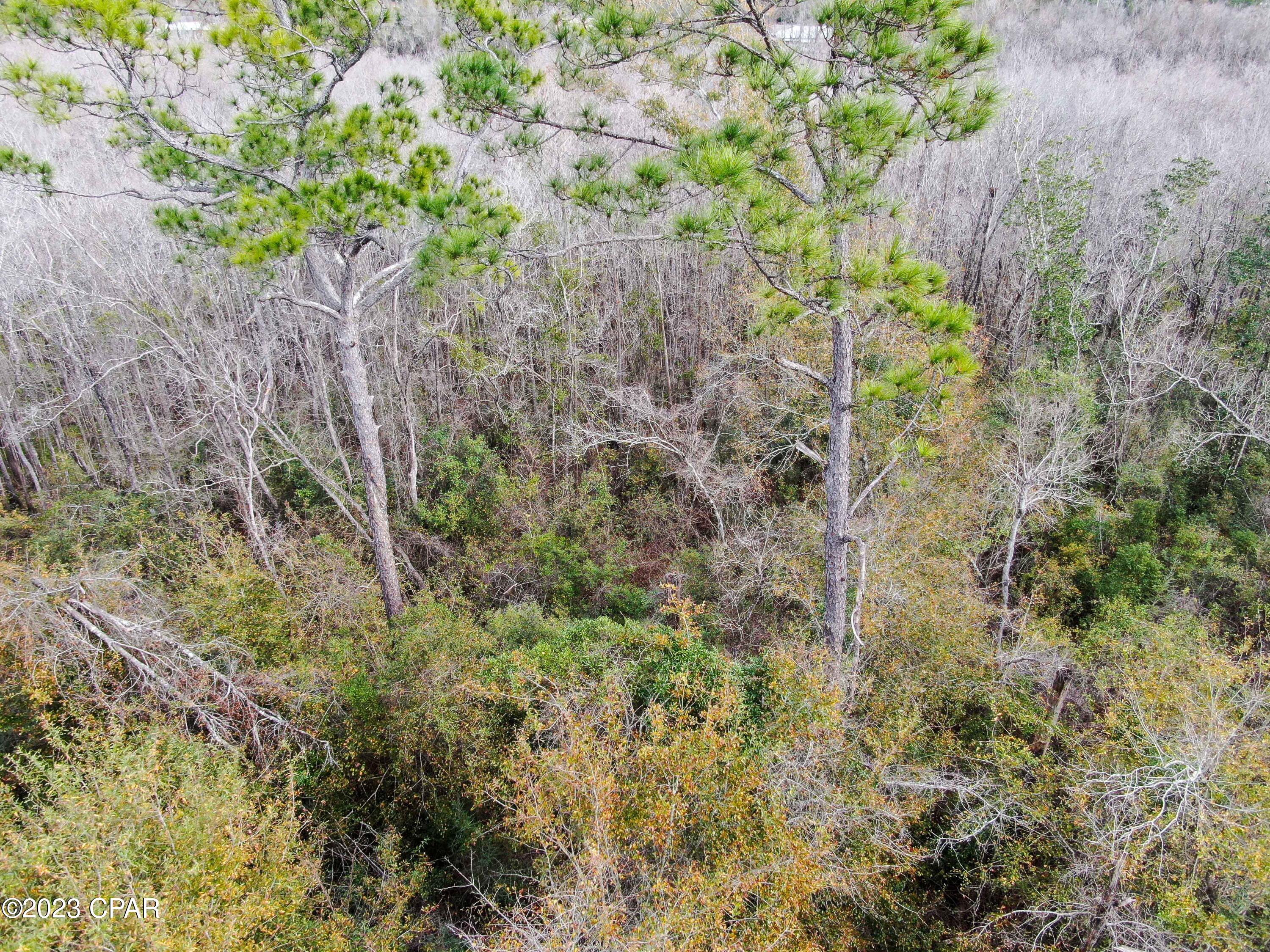 Dead Lakes Estates - Land