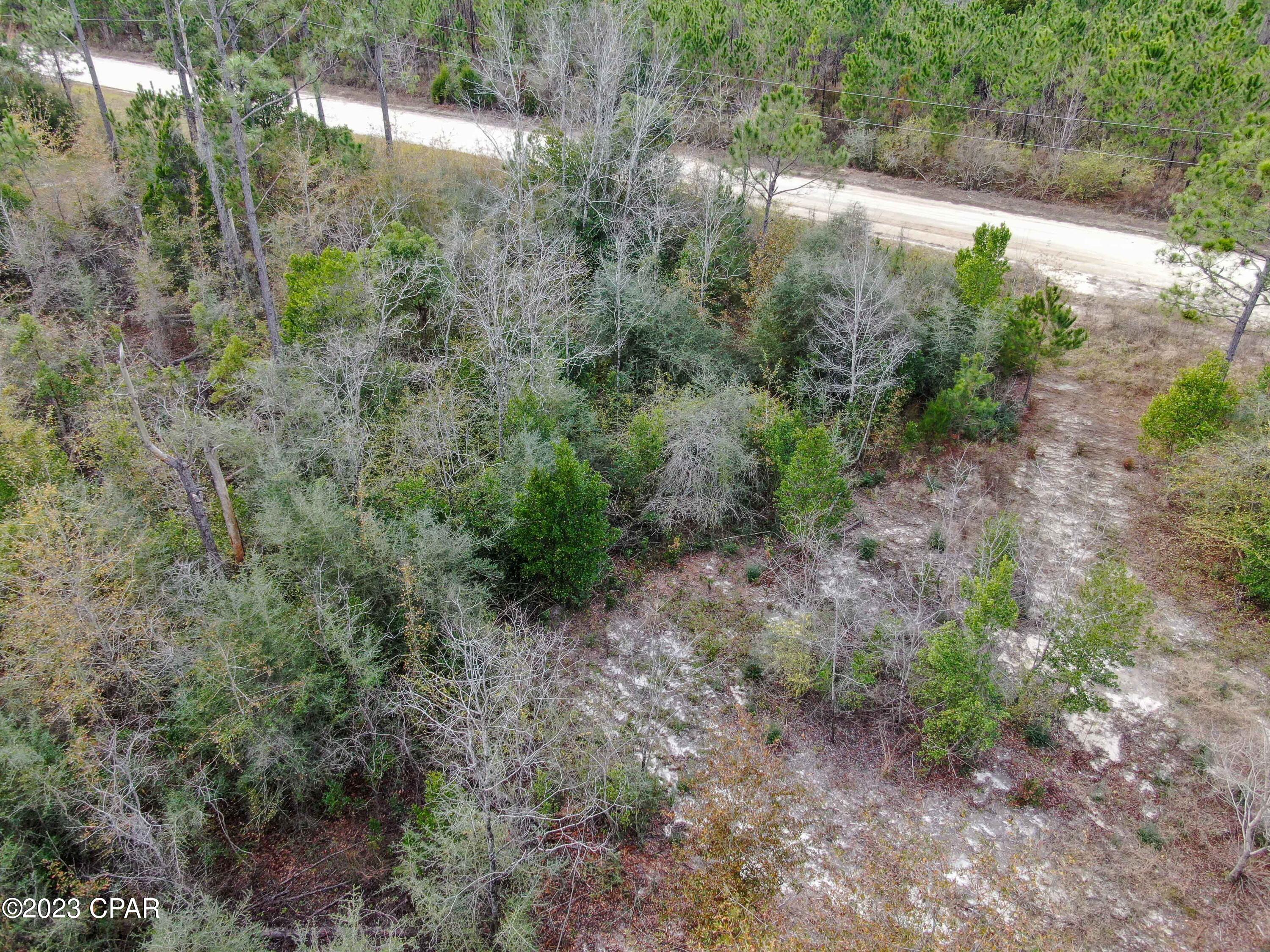 Dead Lakes Estates - Land