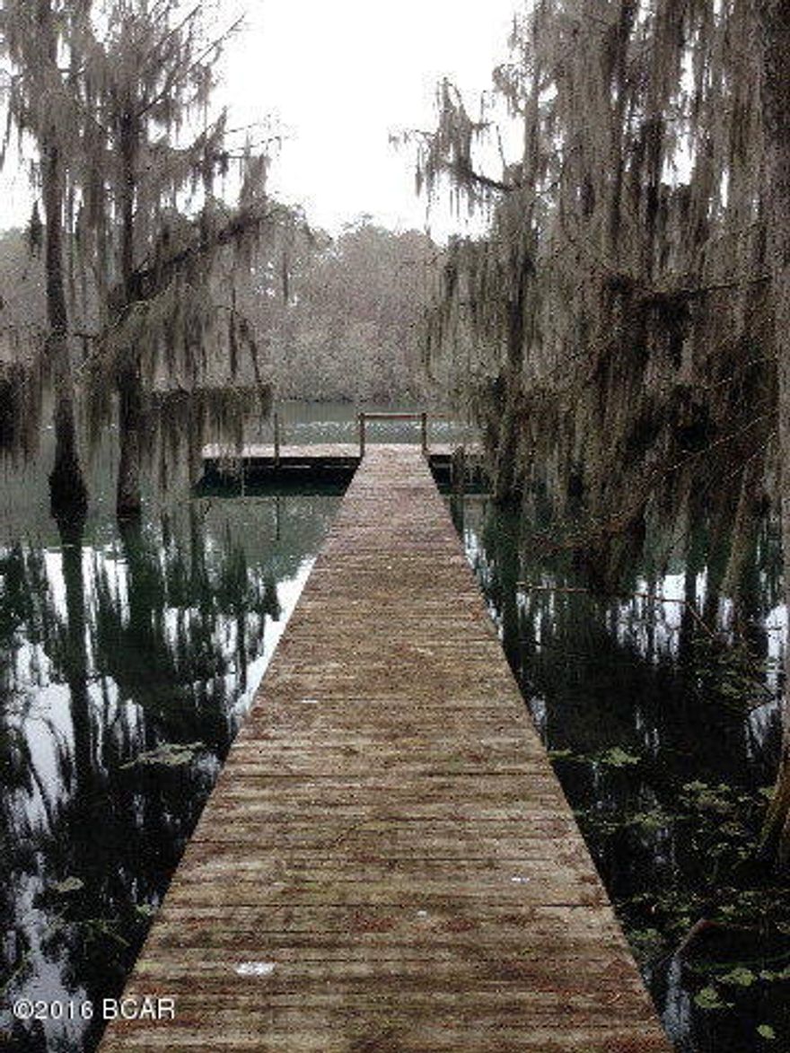 470' of WATERFRONT property located on the much desired Merritt's Mill Pond. This beautiful spring lake is generated from a magnitude 1 spring (Jackson Blue Springs) as well as several other historical springs that make up a roughly 4 mile long spring lake. This lot features a ready made dock, a cleared to the water power line easement and your very own boat landing. 8.02 acres total that reach the center of the stream that leaves about 4.86 acres above the approximate waters edge. Owner/Broker - Can divide if desired and a portion may also be seller financed. Call today before Summer comes and goes!!