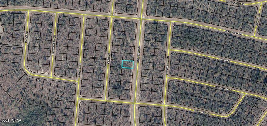 High and dry building lot close to the golf course and Highway 77! Sunny Hills has 26 lakes/ponds, including crystal clear Gap Pond and the well-known Boat Lake. There are 5 boat landings in the community for the fishermen. Deed restricted, but there is no HOA fee that applies. No mobile homes. Enjoy the slower pace of life this area has to offer and significantly lower taxes! Washington County is among the top five counties in the state of Florida that have the lowest property taxes. This lot is only a 20 minute drive from Chipley or Bonifay and about 45 minutes from PCB. Buyer to pay owner's title policy + title fees.