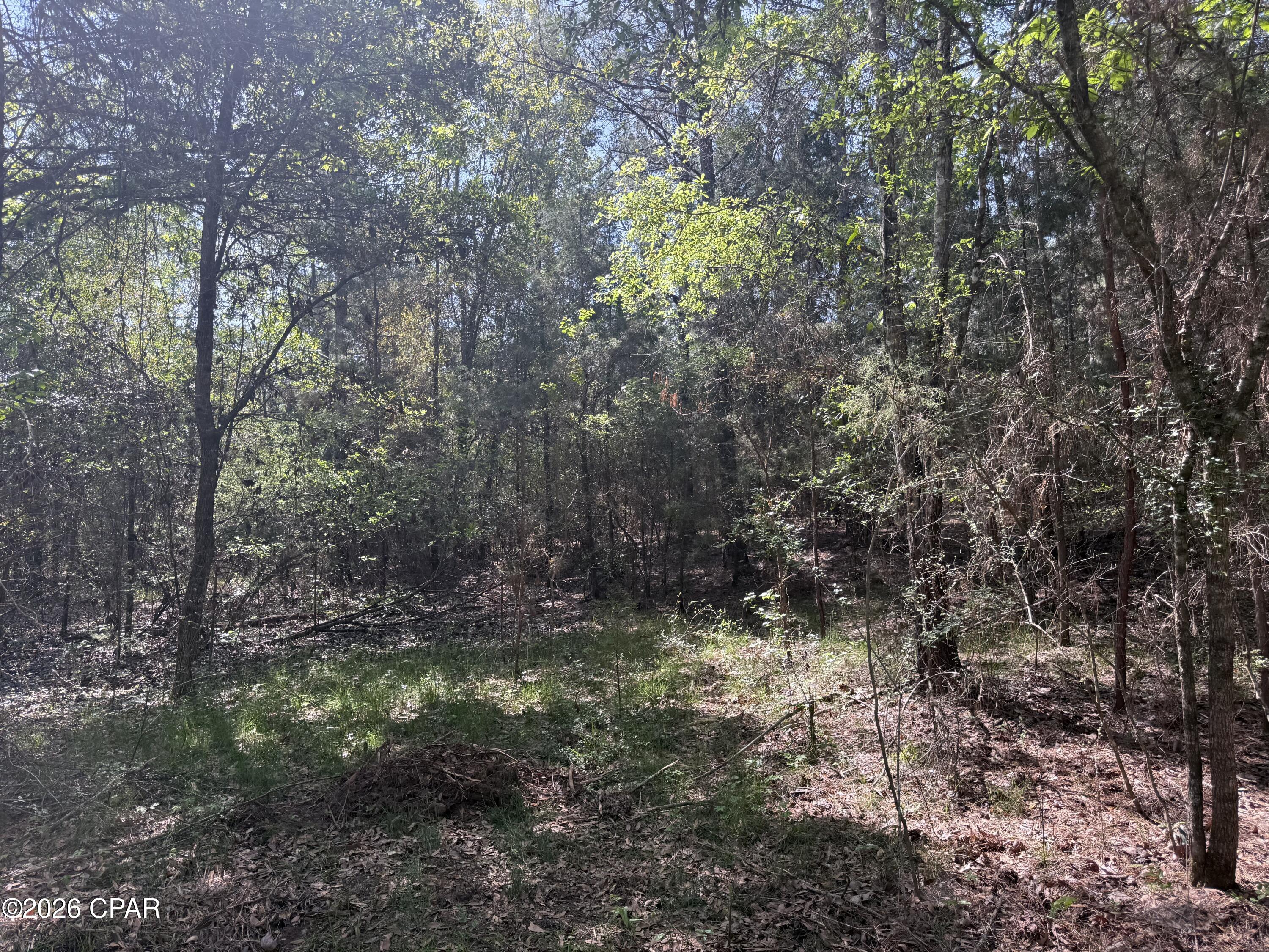 Country Club Hills #2 - Land