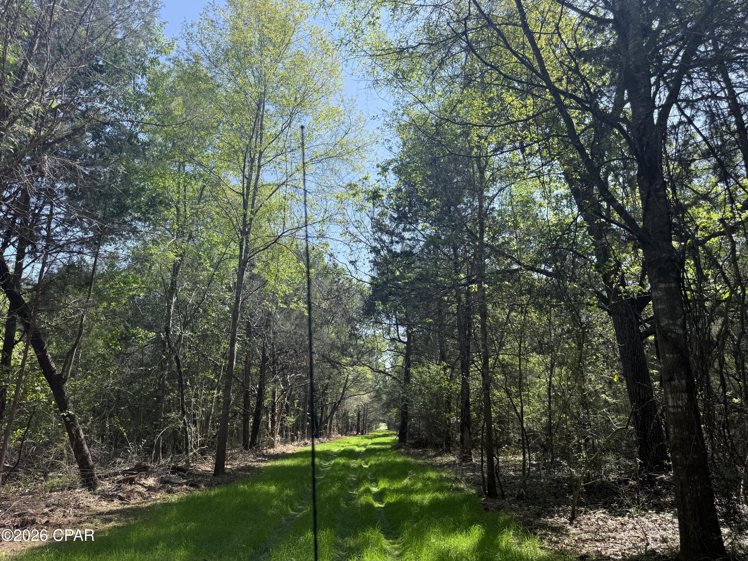 Country Club Hills #2 - Land