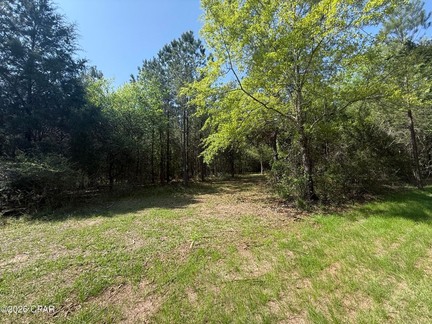 Great Location, close to Schools, MERE, and Health Department.  Twelve Acres off of Sheffield Subdivision that awaits your vision of a perfect homesite or possibly even more.
Two parcels that combined are uniquely positioned for your ultimate splash!!!  There is City Water on Sheffield and they have said it can be ran to this site.  Also, possibly can be divided but the County would have to approve. Truly a Must See!!!!!!!!!!!!!!!
