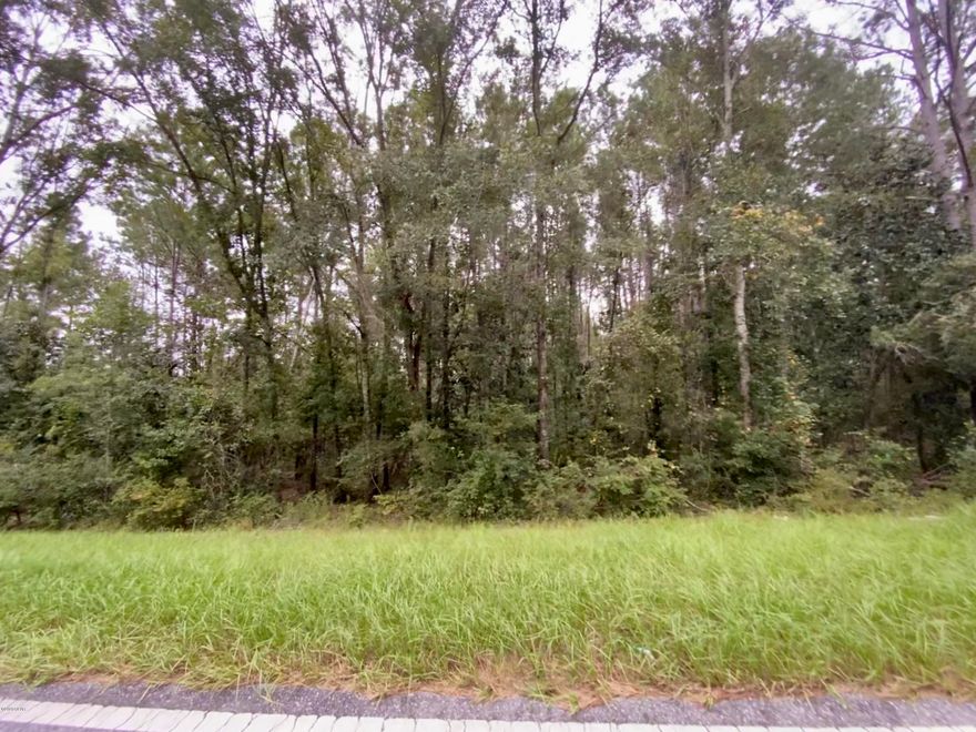 Over an acre lot located within the city limits of Jacob with a creek running on the back of the property. Access is on a paved road and is just off of Highway 273 and 231. This lot offers privacy in a country setting. Build your home or put a mobile home on the property. Public water is available here so that would save the cost of having to put in a well. The back portion of the property is in a flood zone due to the creek.