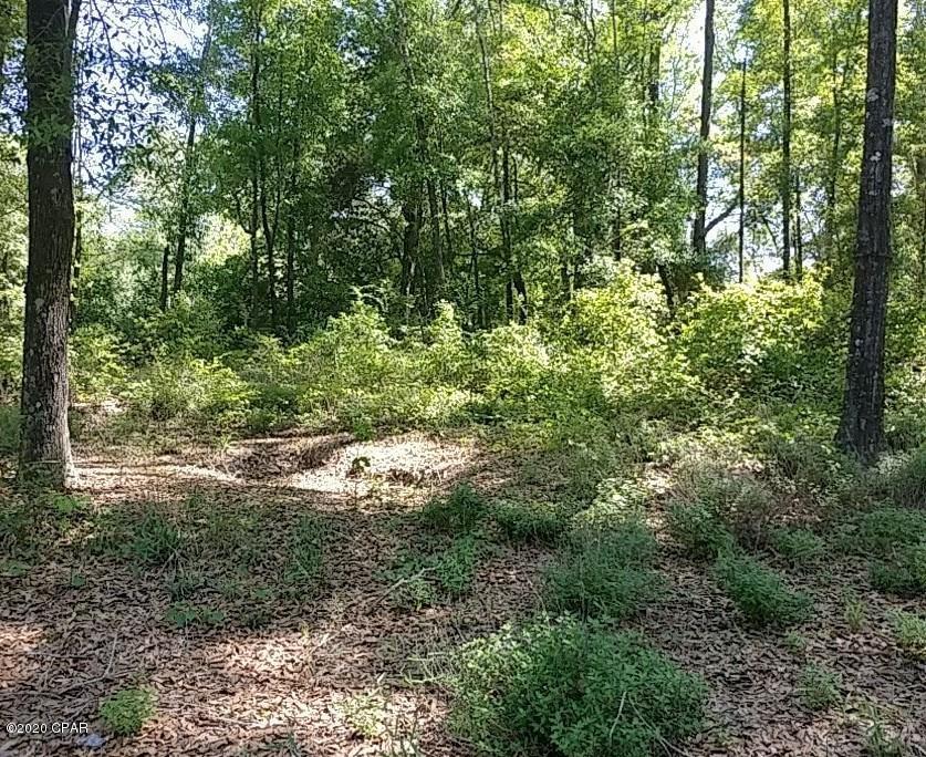 Dogwood Lakes - Residential