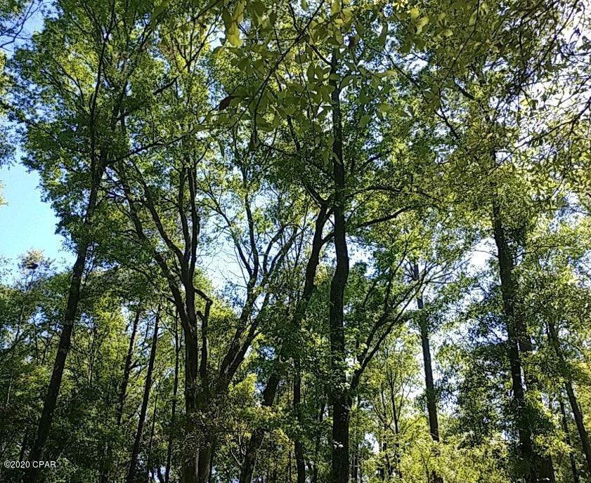 Dogwood Lakes - Residential