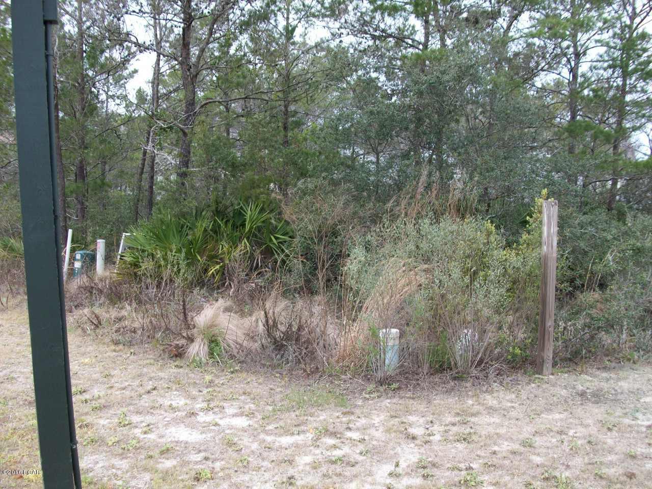 Preserve At Inlet Beach - Land