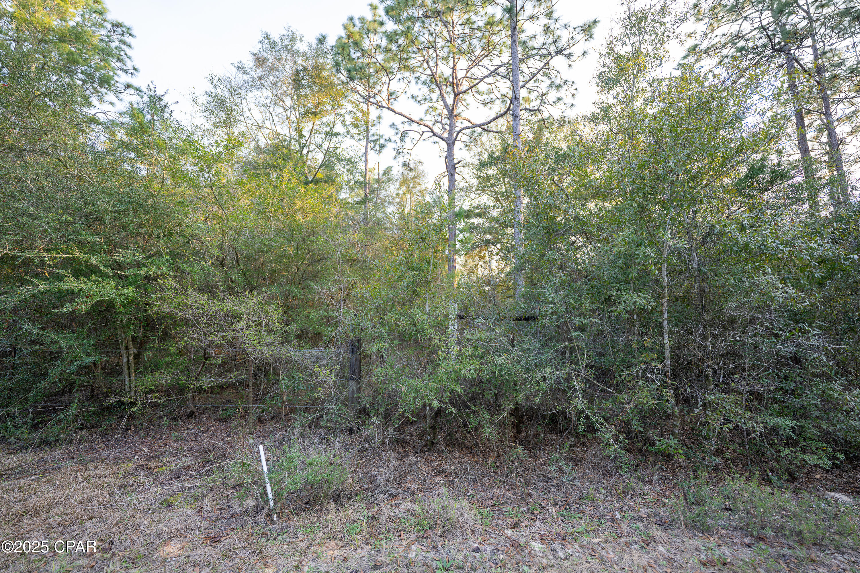 Leisure Lakes 2nd Add - Land