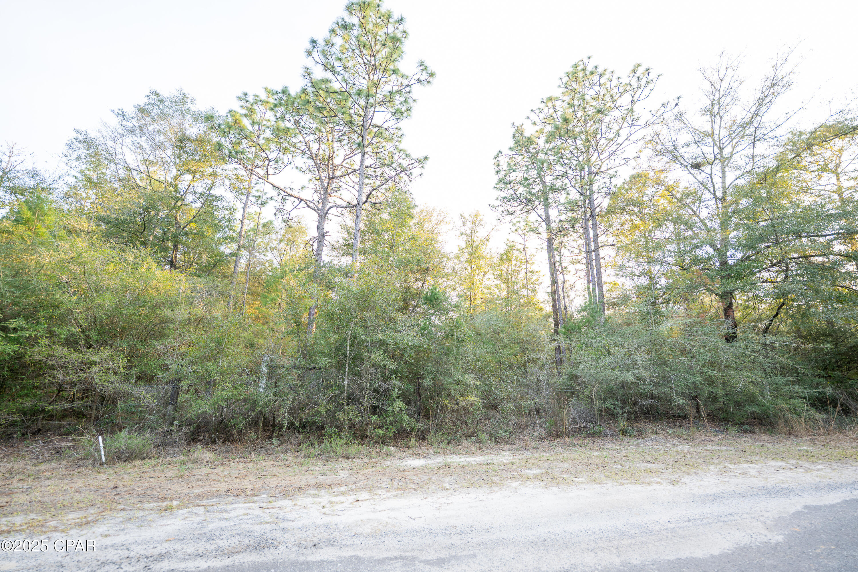 Leisure Lakes 2nd Add - Land