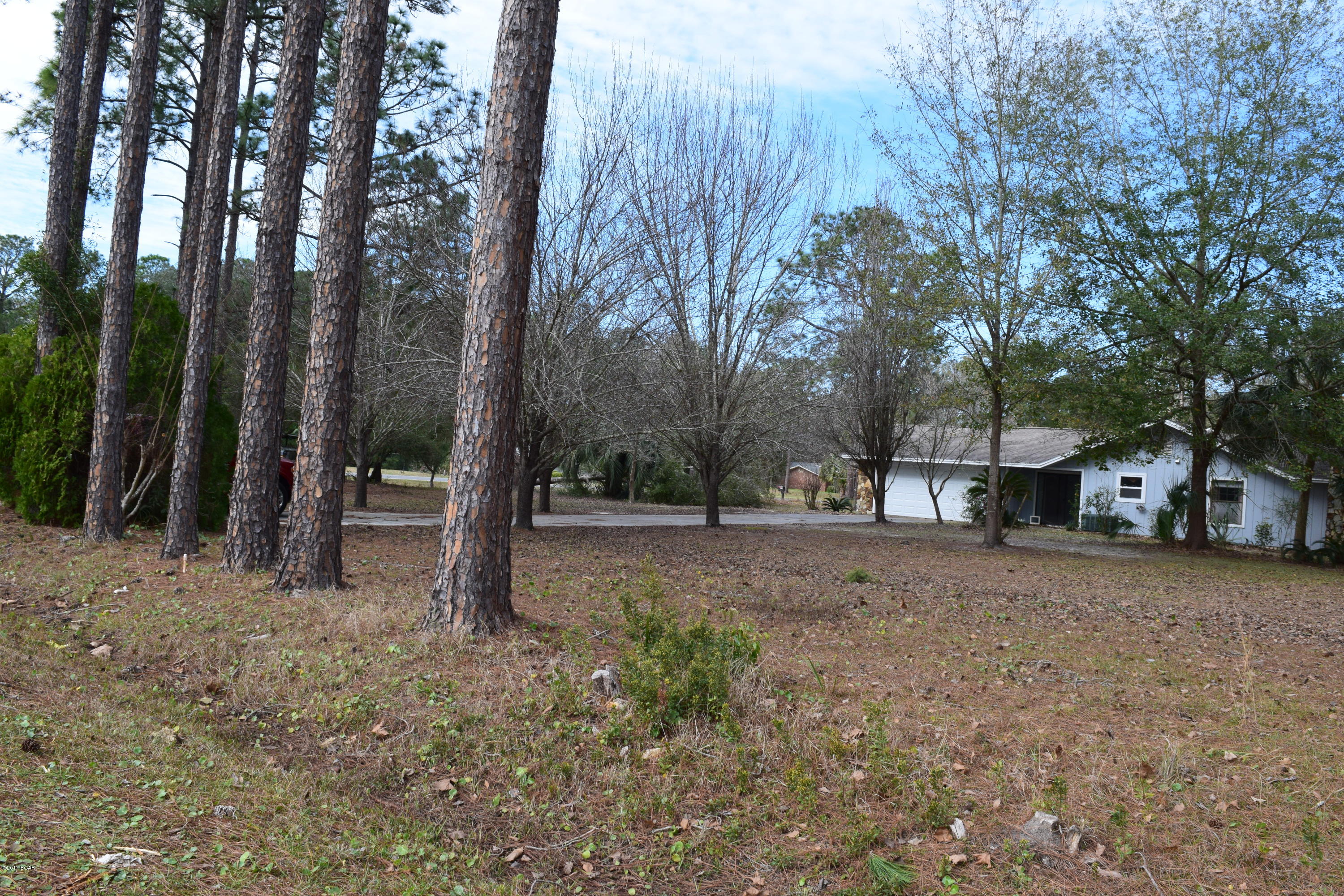 College Oaks - Residential