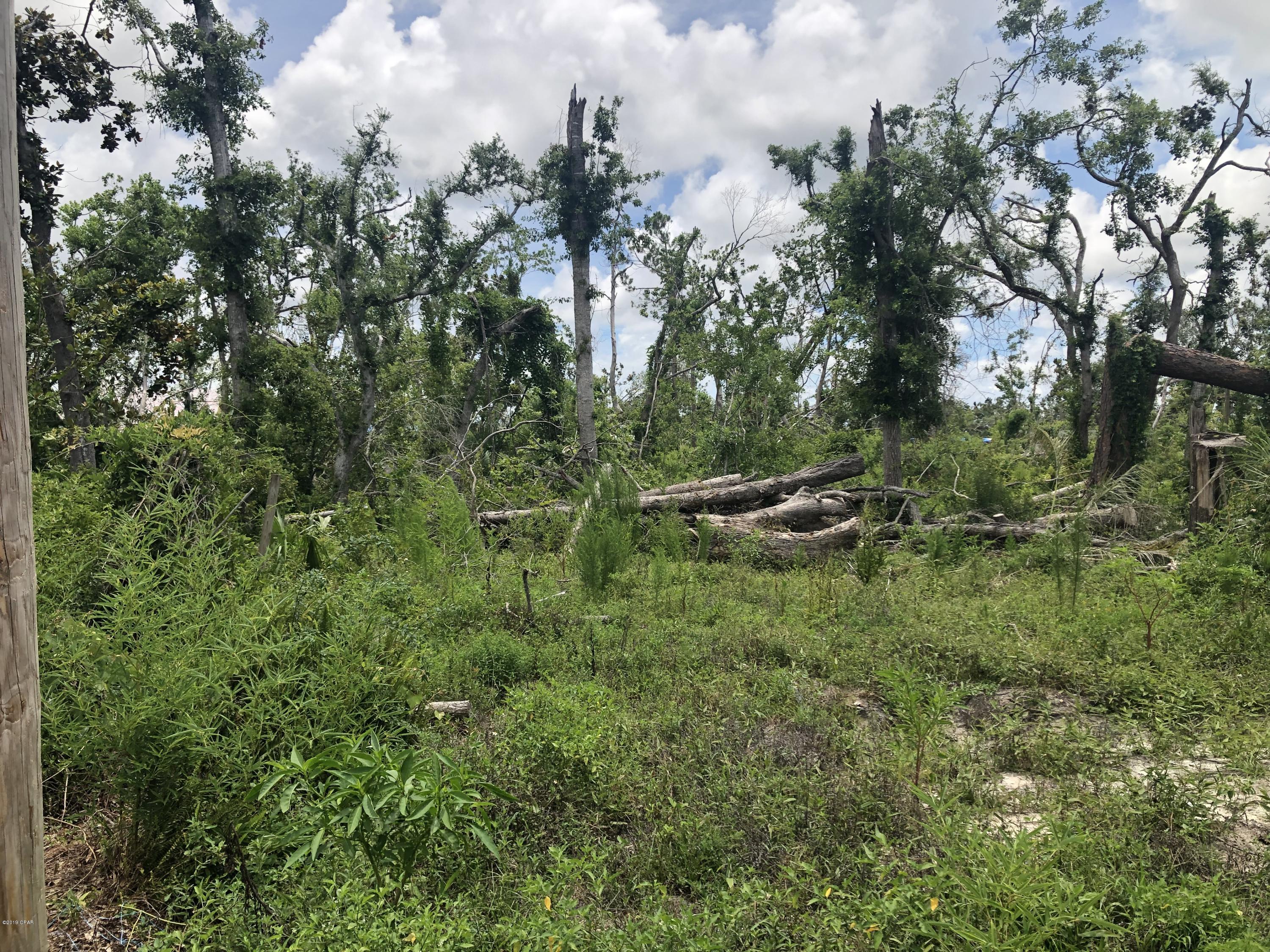 Lynn Haven - Residential