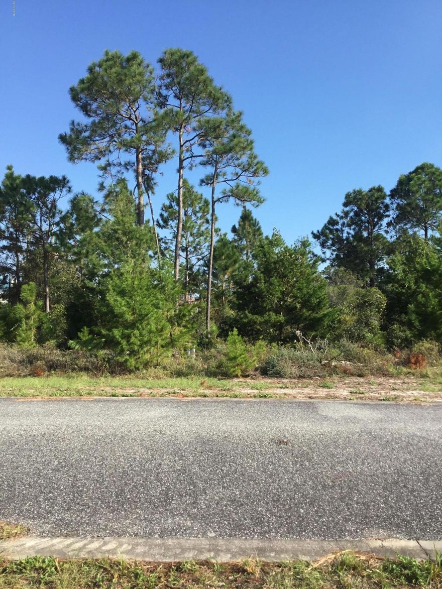 Great opportunity to own an inexpensive lot in beautiful Franklin county. Build your house on a wooded lot in a quiet subdivision in Carrabelle. No HOA fees, community pool and clubhouse. City water and sewer available as well as underground utilites!  Minuets to the beach and downtown charming Carrabelle. Owner is motivated to sell !