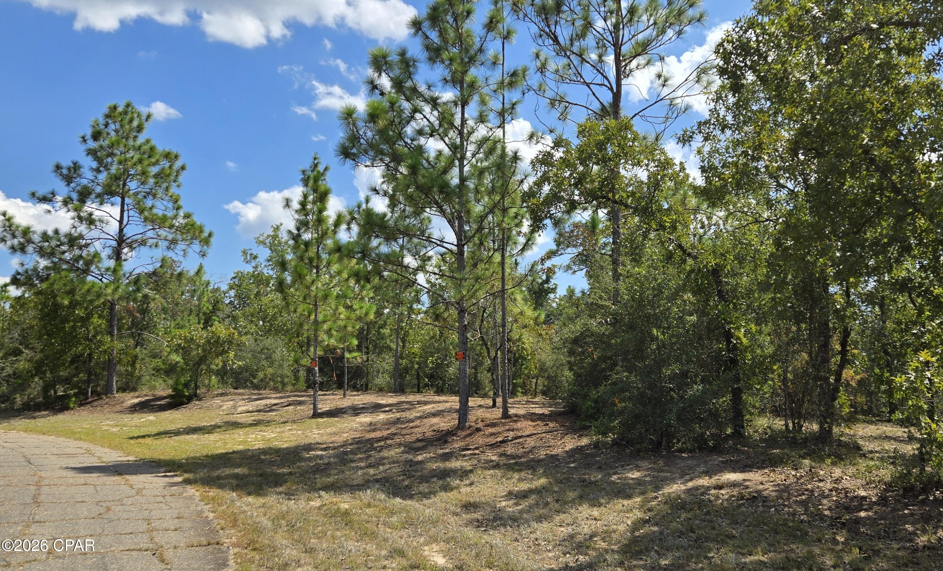 Sunny Hills Unit 6 - Land