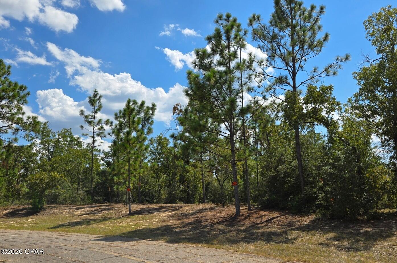 Sunny Hills Unit 6 - Land