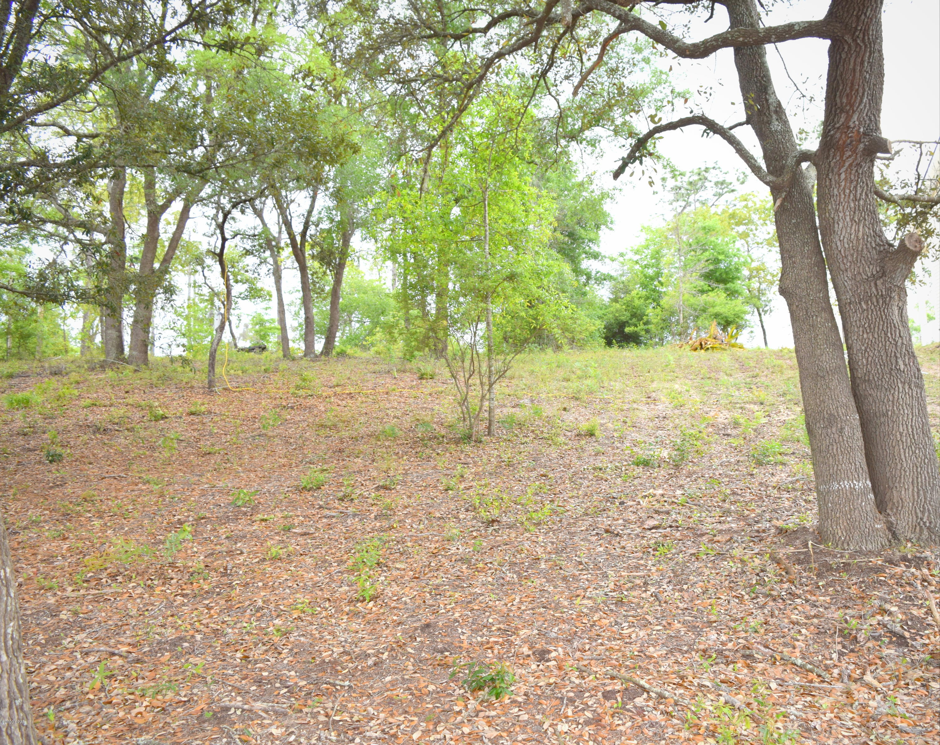 Seminole Plantations - Land