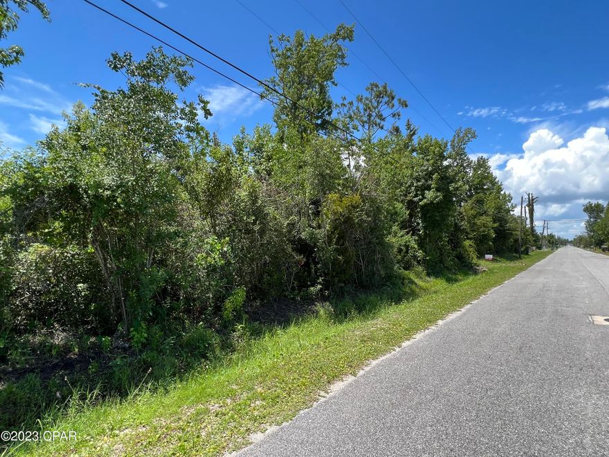 Welcome to an exceptional opportunity in Callaway, FL! This remarkable land boasts a prime location just minutes away from the prestigious Tyndall Air Force Base. Nestled on over 2 acres, this expansive lot offers endless investment possibilities and ample space for building a grand, spacious home. 

 Whether you're an investor or an individual with dreams of creating a custom estate, this property provides the space! Explore the potential of subdividing the lot or adding additional structures to maximize its value and versatility.

Embrace the freedom to design and build the home of your dreams. With plenty of space, you can create a truly grand residence tailored to your specific needs and desires. Imagine the possibilities of abundant gardens, expansive outdoor entertaining areas, and the freedom to enjoy a variety of recreational activities right on your own property.

Don't miss out on this one-of-a-kind chance to own a sizable lot with great potential. Take the first step towards realizing your vision by securing this prime piece of land. Contact us now to seize this extraordinary opportunity and unlock the possibilities that await you in Callaway, FL.