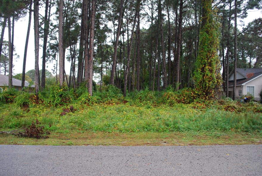 Great building lot in nice neighborhood near Patronis Elementary, Navy Base, shopping, beaches, restaurants. Lot size approximate. Please verify if important.