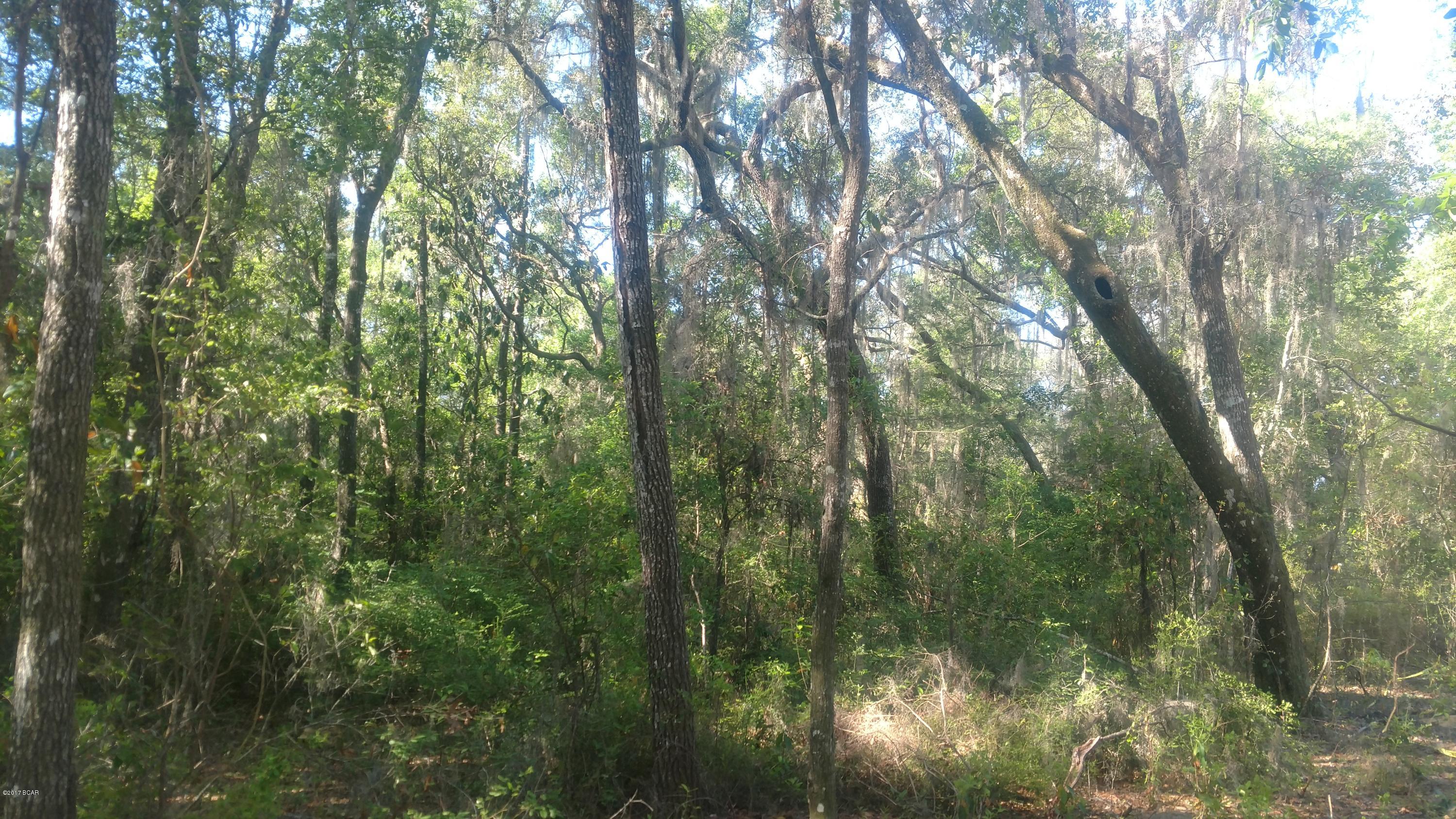 Cedar Creek Ph II - Land