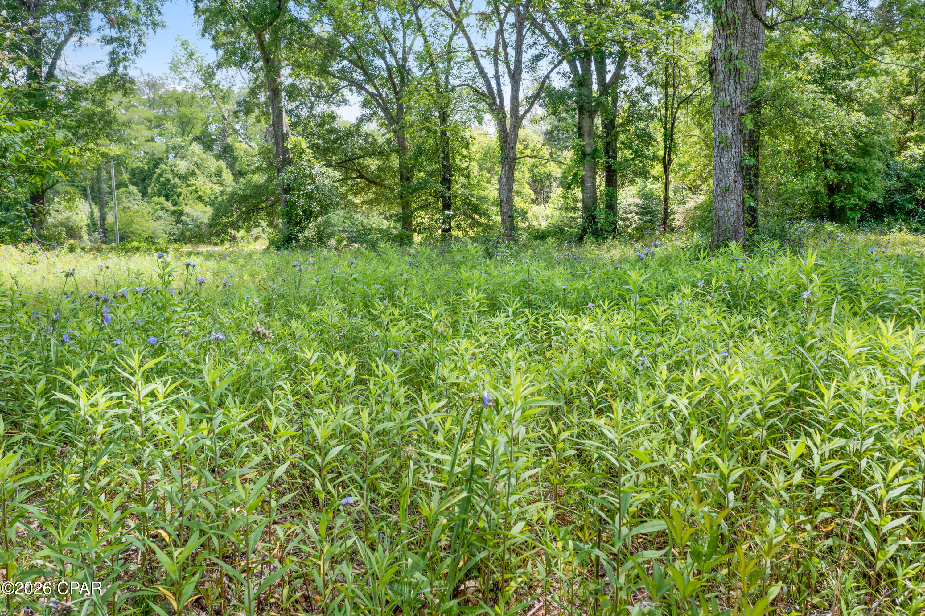 [No Recorded Subdiv] - Land