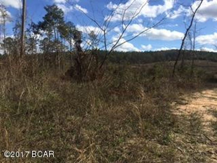 Private country setting! This 25 acre parcel would be the perfect spot to build your dream home or to place a mobile home. Property is mostly cleared with some trees. A must see, call for your showing today!