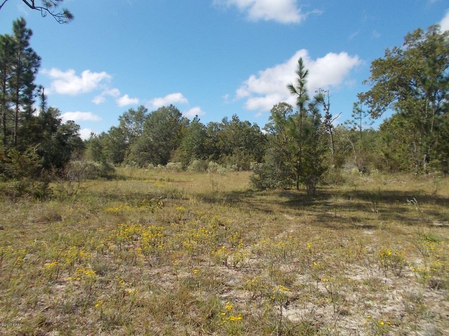 Very nice level wooded parcel partially cleared for building or bring your mobile home, there are no deed restrictions, all on a paved road in the Sycamore community. drive or walk on property.