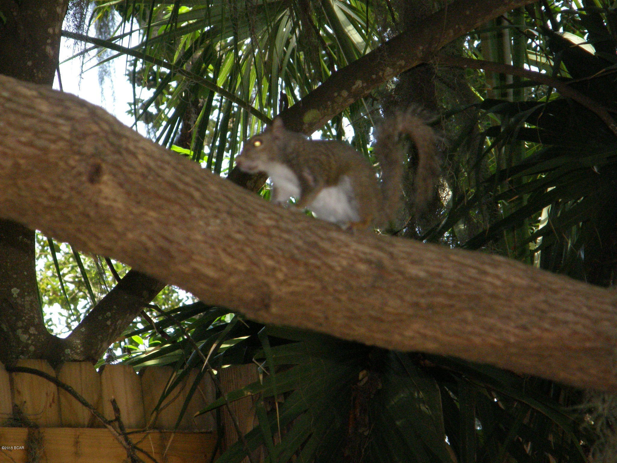 Cove Terrace 2nd Add - Residential