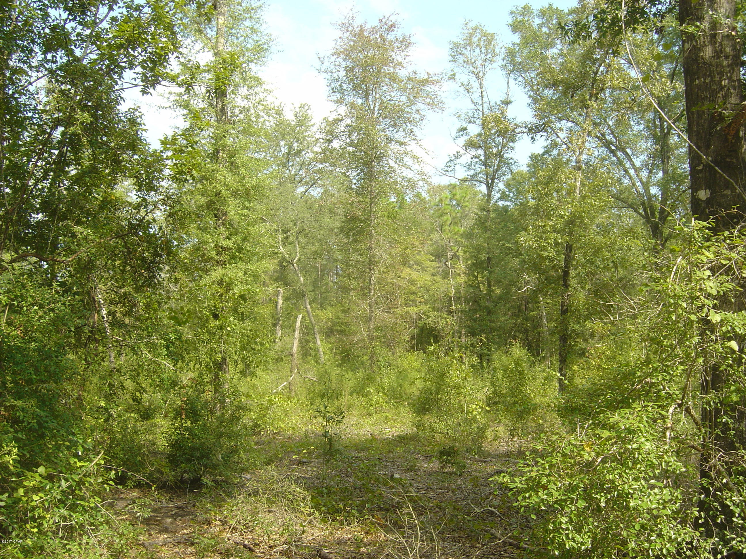 Compass Lake Hills Unit 5 - Land