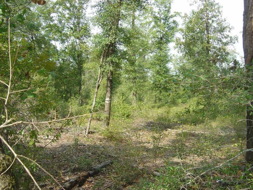 Nice corner lot in Compass Lake in the Hills with all the amenities of CLH.  Close to Edison that is a main road.