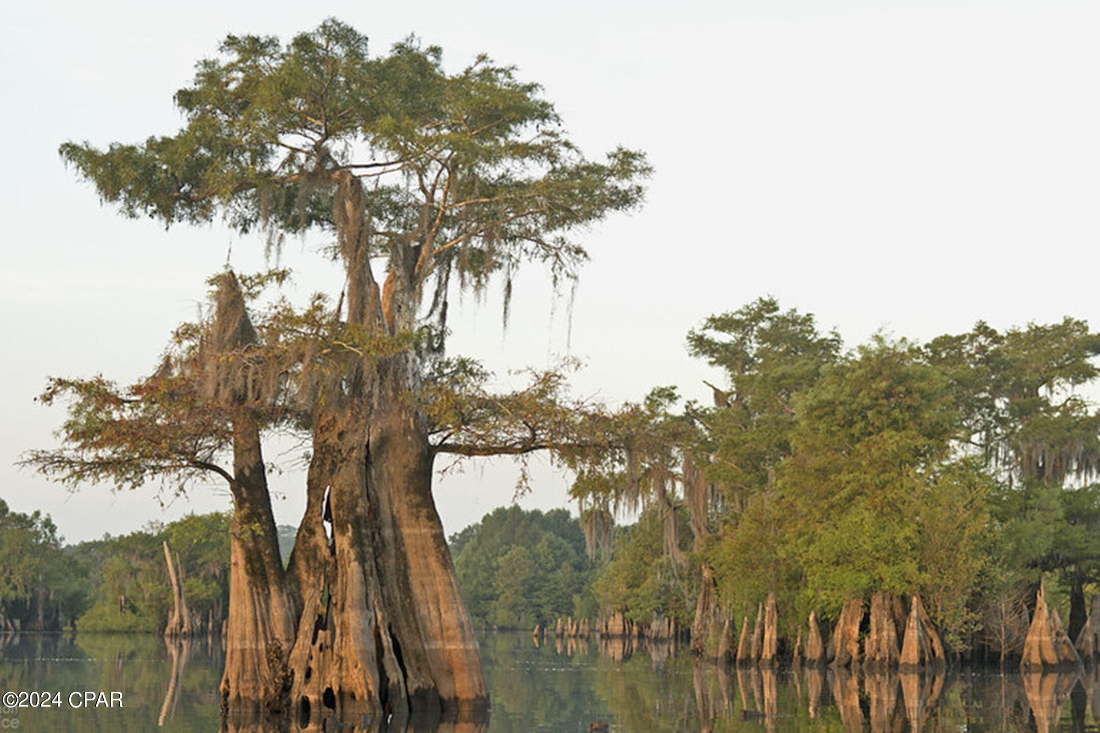 Whitfield Acres - Residential