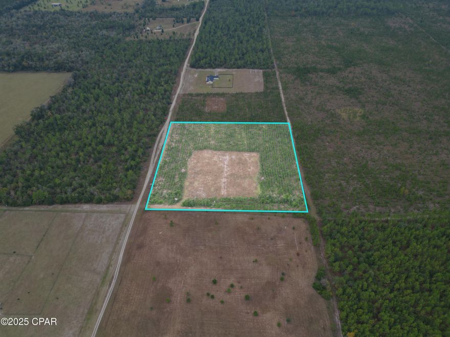 Discover the perfect balance of privacy and convenience with this 10-acre parcel located just 15 minutes from Marianna. The property features beautiful, planted pines and a cleared homesite, ready for your dream home or country getaway.

Enjoy peace of mind with protective deed restrictions designed to maintain the natural beauty and charm of the area. The land is high and dry, offering excellent drainage and usability.

Whether you're looking for the full 10 acres or prefer to purchase one of two 5-acre tracts, this property provides flexibility for your vision. A recent survey is available, giving buyers added confidence and clarity in their purchase.

Just minutes from the crystal-clear waters of Merritt's Mill Pond, you'll have easy access to fishing, kayaking, and outdoor recreation, all while being close to town amenities.

Don't miss this opportunity to own your slice of Northwest Florida paradise!
