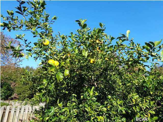 Candlewick Acres - Residential