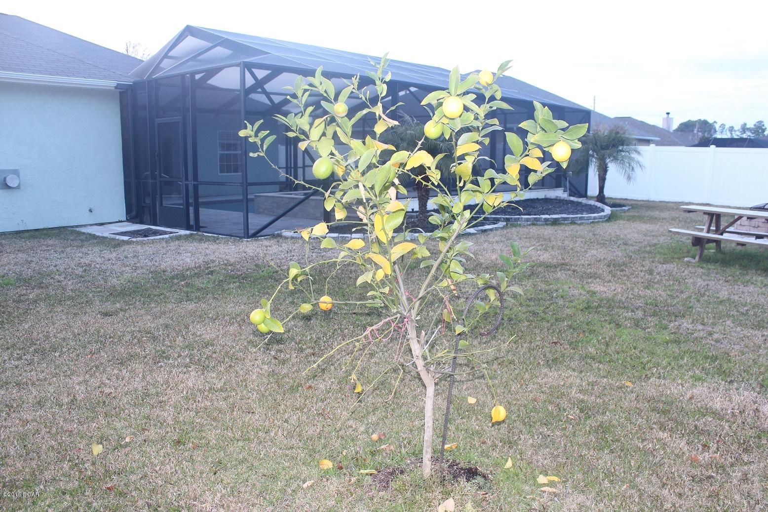 Lynn Haven - Residential