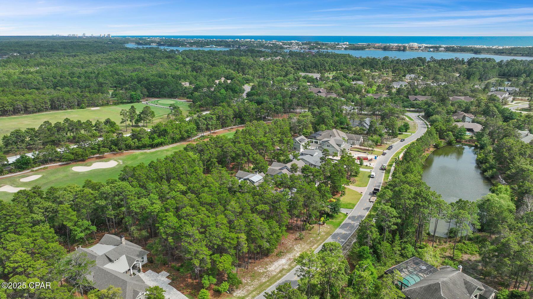 Wild Heron Phase X - Land