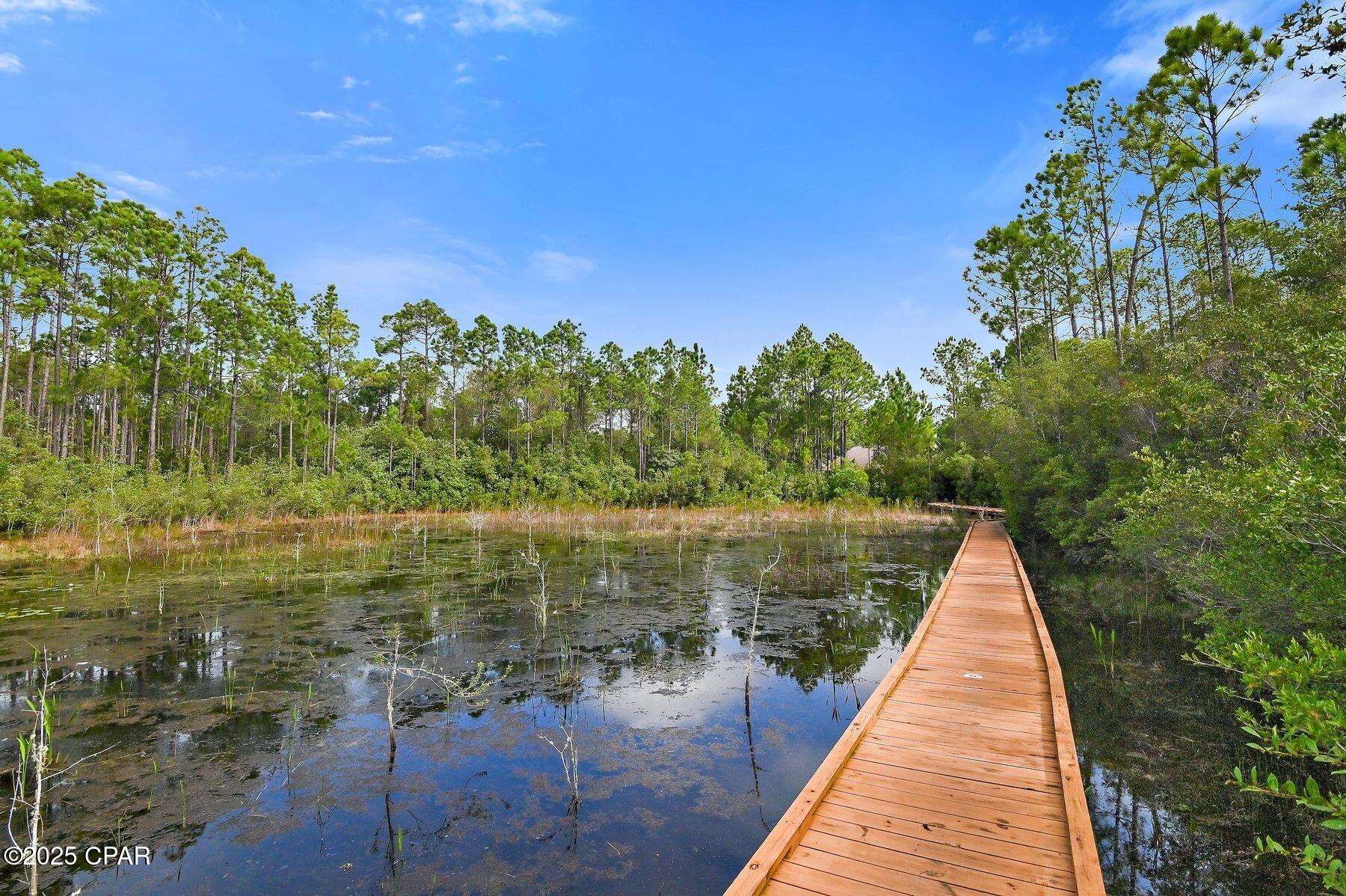 Wild Heron Phase X - Land